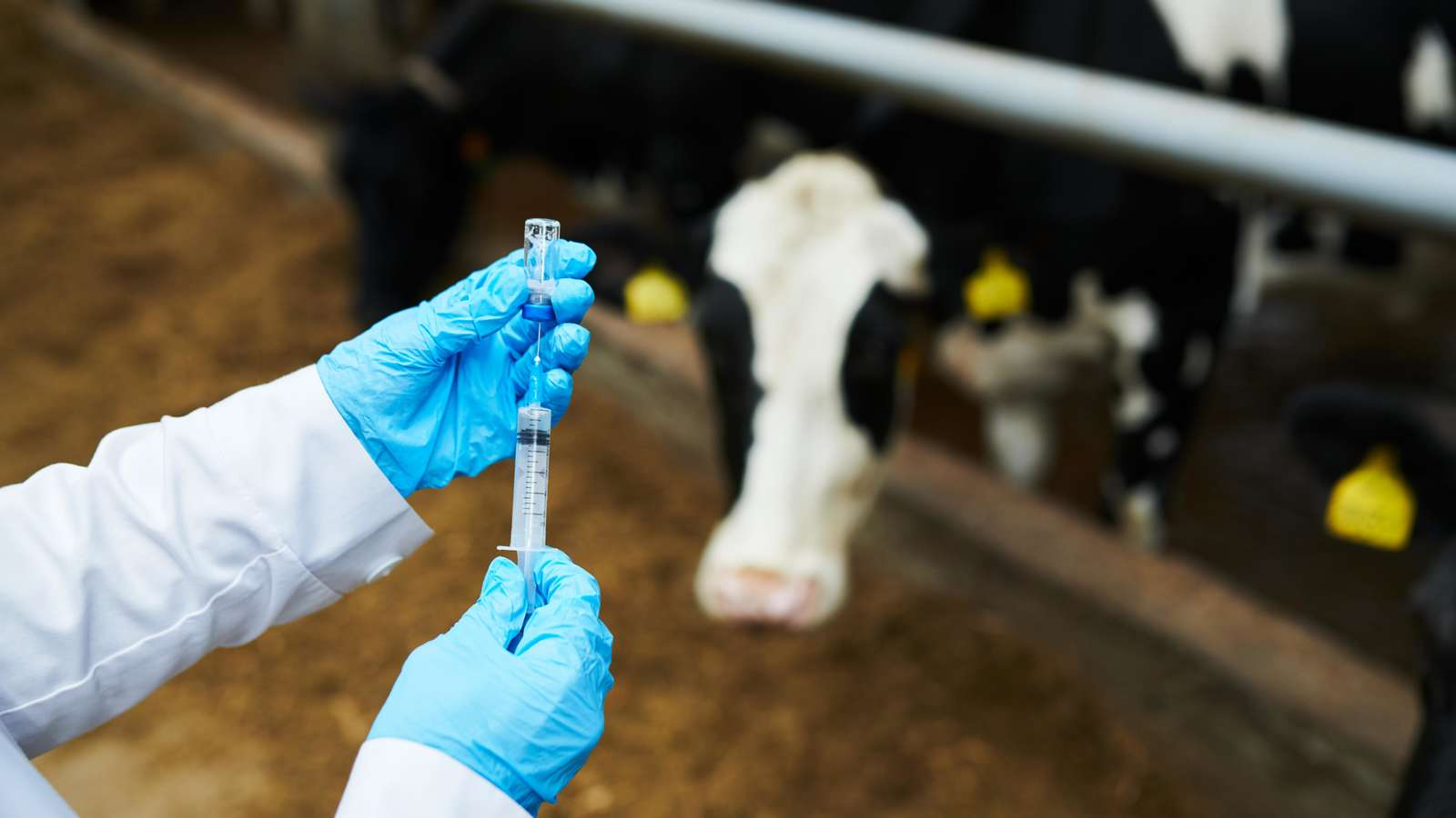 Veterinary Pharmaceutical Exporters Oman