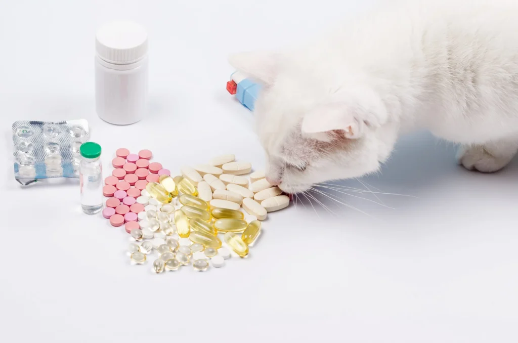 B2B veterinary suppliers in UAE