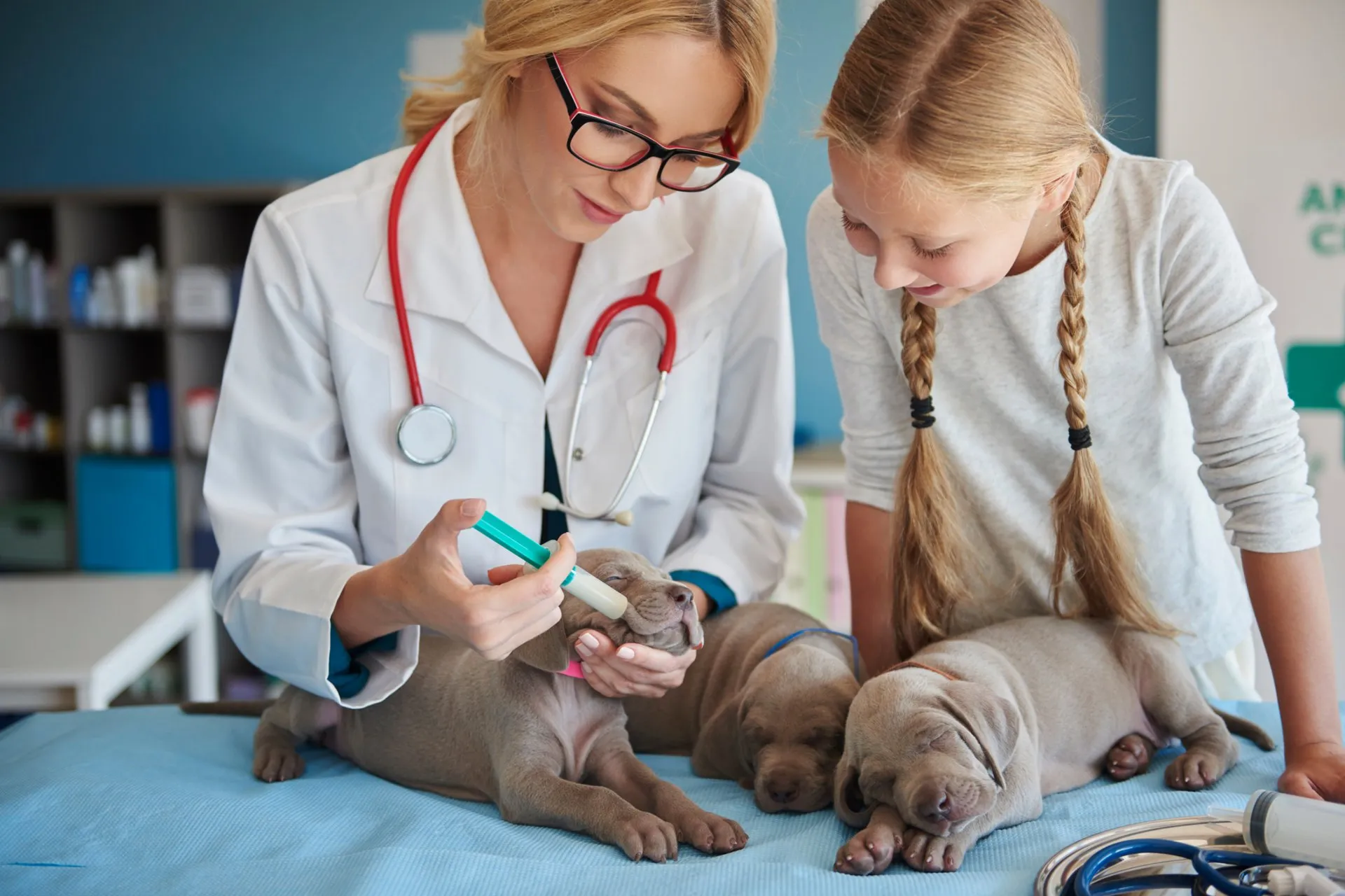 B2B veterinary suppliers in UAE