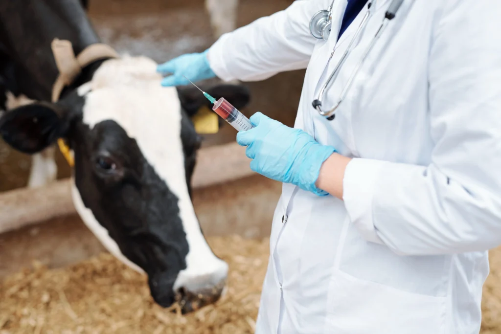 Veterinary Medicine Suppliers Oman