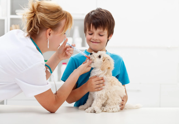 Veterinary medicine suppliers Oman