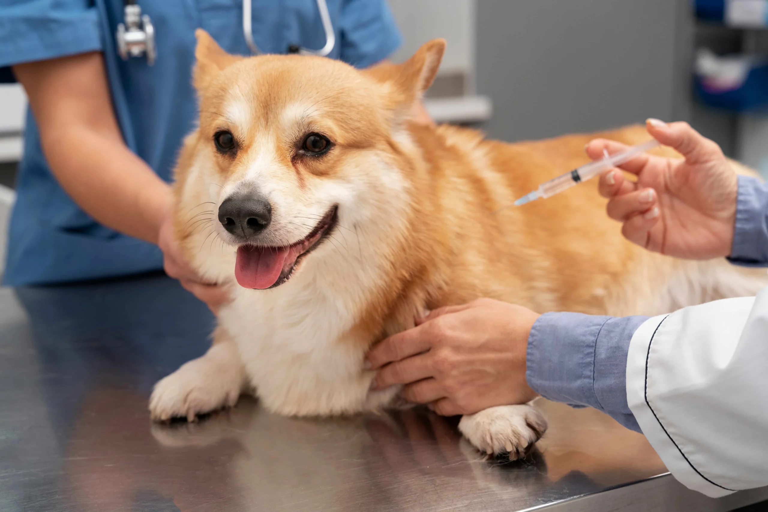 Veterinary product distributors in Oman