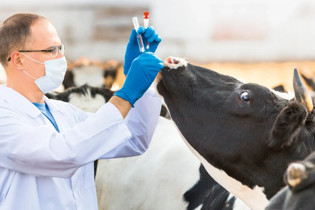 veterinary-feed-distributor-uae