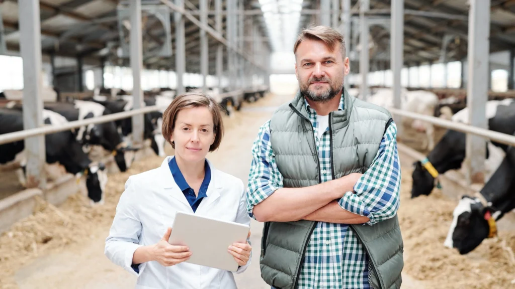 A veterinarian and a farmer stand in a barn surrounded by cows, both in work attire, discussing livestock health while reviewing data on a tablet—highlighting modern farm management.